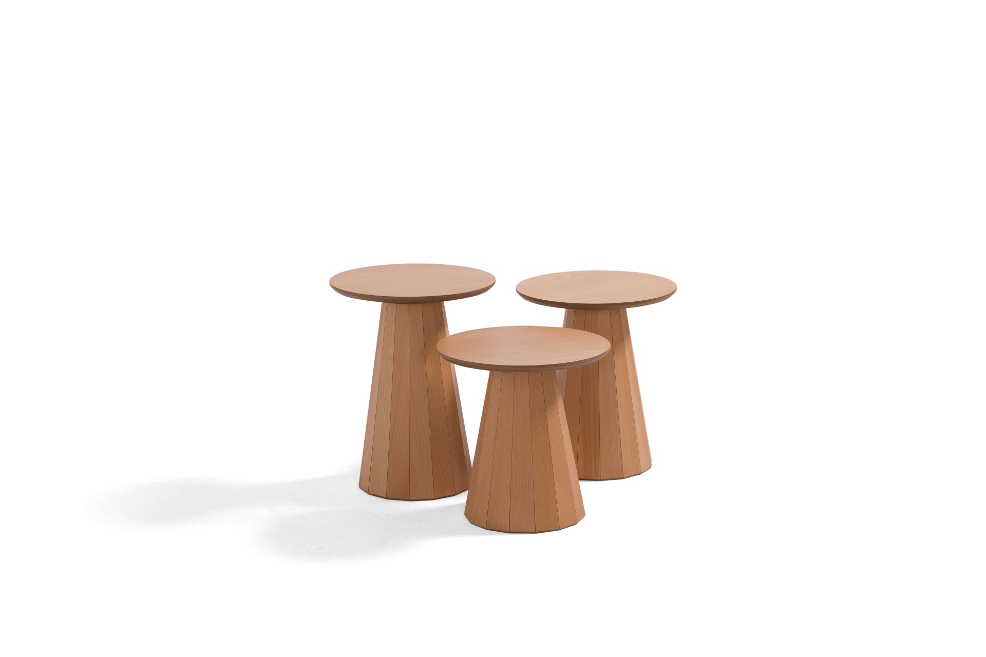 World Mantar Zigon Kayın